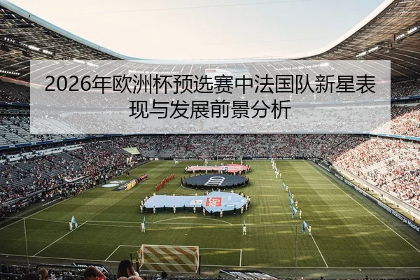 2026年欧洲杯预选赛中法国队新星表现与发展前景分析 - 6686app
