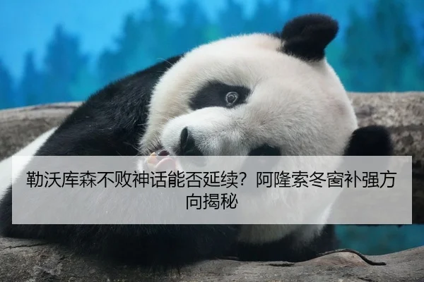 勒沃库森不败神话能否延续？阿隆索冬窗补强方向揭秘