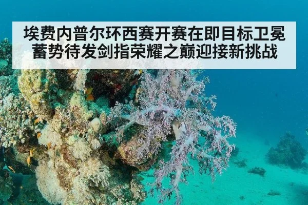 埃费内普尔环西赛开赛在即目标卫冕蓄势待发剑指荣耀之巅迎接新挑战